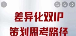 ���컯˫IP�߻�˼��·�����������Ƶ����+�������⣨�����ʼǣ�