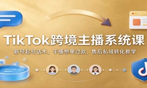 TikTok�羳����ϵͳ�Σ��º���Ż�����ƽ���ﵥ����ۺ�˽��ת����ѧ