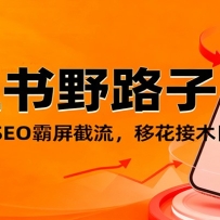С����Ұ·���������������+SEO�����������ƻ���ľ�ջ��100+