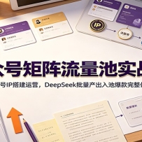 ���ںž���������ʵս�Σ����˺�IP���Ӫ��DeepSeek����������ر�������