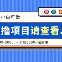�����ֳɼƻ�����С�׿�����Ŀ��һ��100-300��һ����5000+�ܼ�