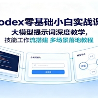 Codex�����С��ʵս�Σ���ģ����ʾ����Ƚ�ѧ�����ܹ�������ೡ�����
