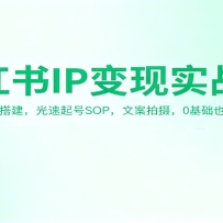 С����IP����ʵս�Σ���λ����������SOP���İ����㣬0����Ҳ��׬Ǯ