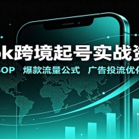 TikTok�羳���ʵս���ϰ�������SOP������������ʽ�����Ͷ���Ż��ز�