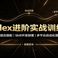 Codex����ʵսѵ��Ӫ����ģ�ͻ�ϴ��䣬Skill�������𣬶�ƽ̨�Զ�����ؽ�