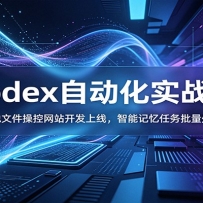 Codex�Զ���ʵս�Σ������ļ��ٿ���վ�������ߣ����ܼ���������������