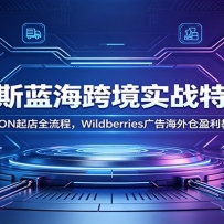 ����˹�����羳ʵս��ѵӪ��OZON���ȫ���̣�Wildberries��溣���ӯ����